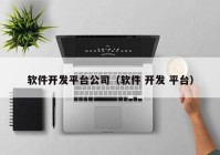 软件开发平台公司（软件 开发 平台）