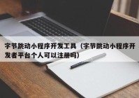 字节跳动小程序开发工具（字节跳动小程序开发者平台个人可以注册吗）
