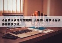 语音会议软件开发需要什么条件（开发语音软件需要多少钱）
