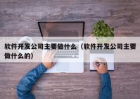 软件开发公司主要做什么（软件开发公司主要做什么的）